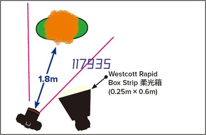 视频案例：SWP40