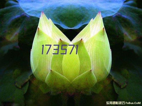 理光A4黑白打印机P501