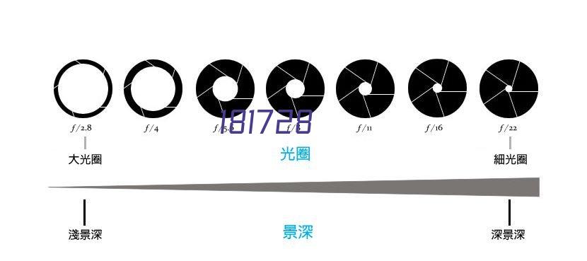 Micro轮滑官网