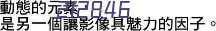 向日葵花束毕业季伴手礼送老师同学太阳礼物