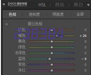 优秀广州十大手信单位