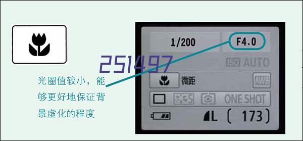 屏幕截图 2024-05-20 155324