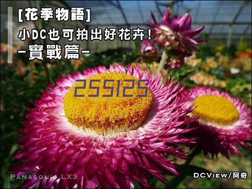 原装电动电瓶车控制器36伏48V450W60V500W72V89v无