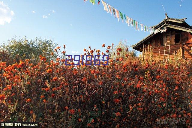 2019年6月，习近平主席在比什凯克峰会上的讲话