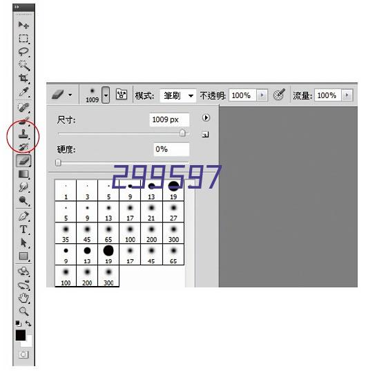 高钾高钠SY101