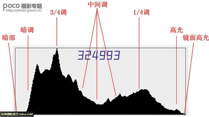 仕网云智能建站