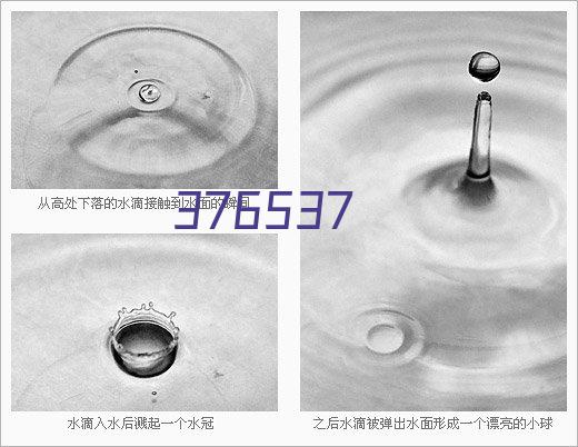 油气管道工程环境监理技术