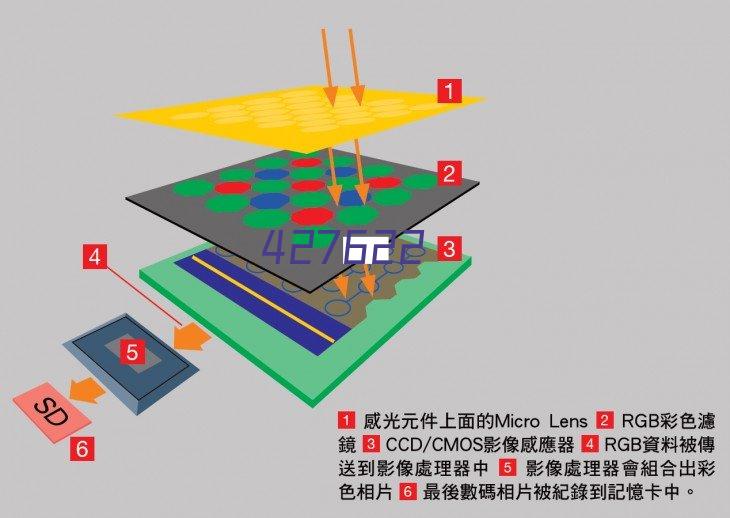 塔林弗洛拉