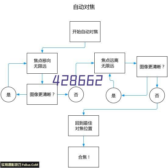 BLIVE警告类安全标识 必须戴防护帽 PP工程塑料 250×315mm 1张/包