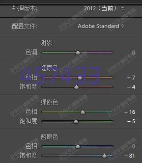 施乐镁20-20-20