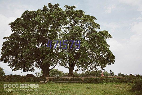 重庆民营经济国际合作商会