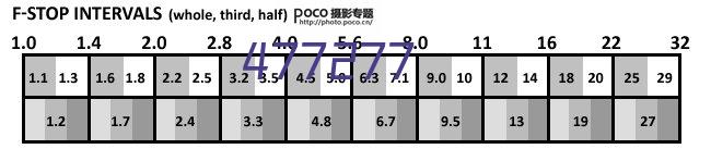 全民武馆（0.1折外置版）