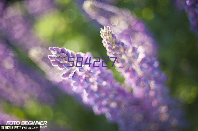 优米村2024年春节限时特惠，域名一口价，抢占品牌先机！