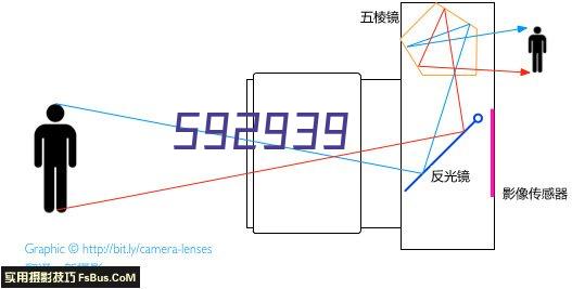 长鸿高科(605008)-公司动态研究报告：TPES龙头企业，布局丙烯酸助力成长-华鑫证券-20240630