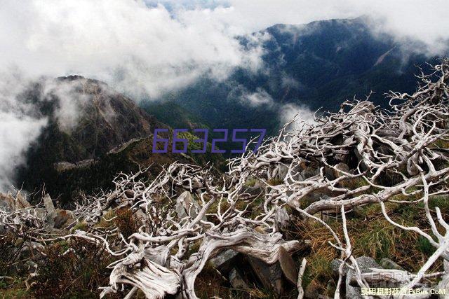 浙江杭州萧山区供销社与区级平台、直属国有企业签订 大田托管美丽田园建设合作框架协议