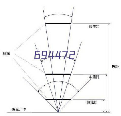 乐赛Leseil