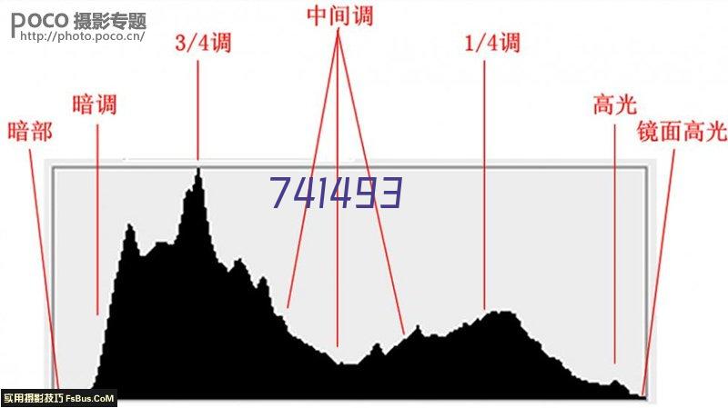 项目进度  严格把控