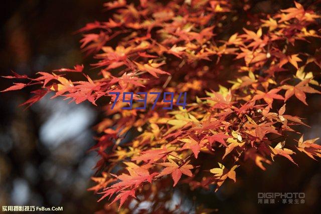 [破解中介] 全国，纯白，纯花，只要没有当前逾期的，统...