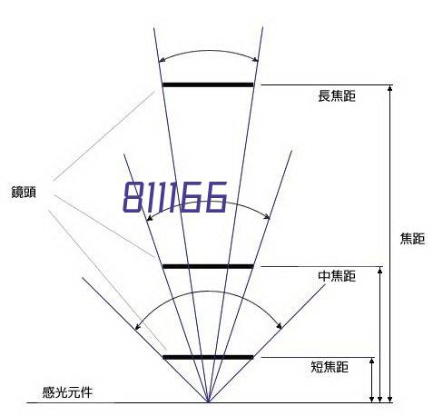 尼尔逊巨人