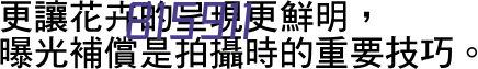 江苏西维斯安防科技有限公司低代码开发案例