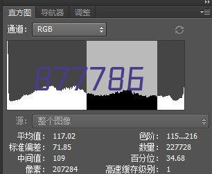 摩托罗拉SL1K 数字对讲机