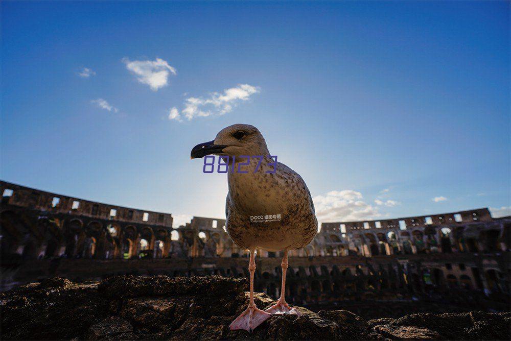 大鯊魚進軍英超！太陽報：奧尼爾在談判投資西漢姆