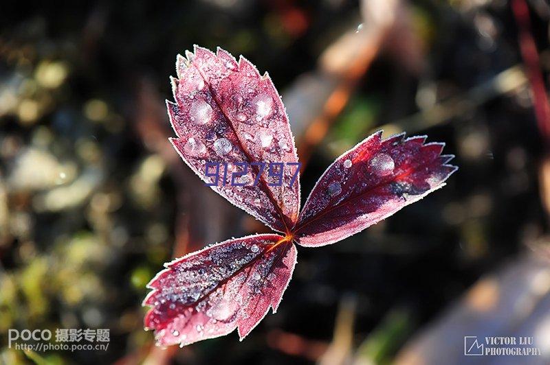 太阳能板带摄像太阳能供电火焰探测器