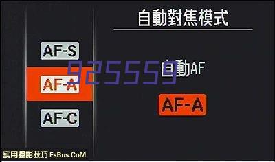 索斯蓋特：為貝林奪得歐冠感到高興，他度過了不可思議的一年