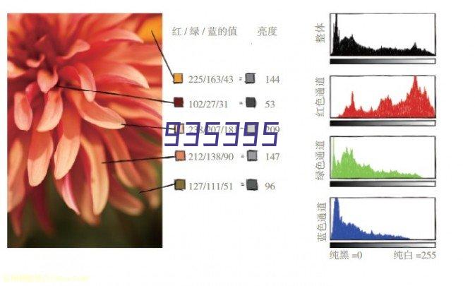 河北清荣环保科技有限公司