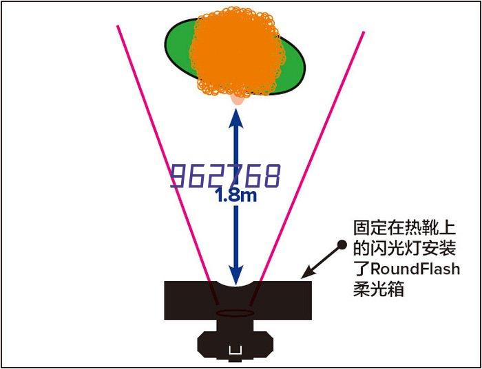 公司实力