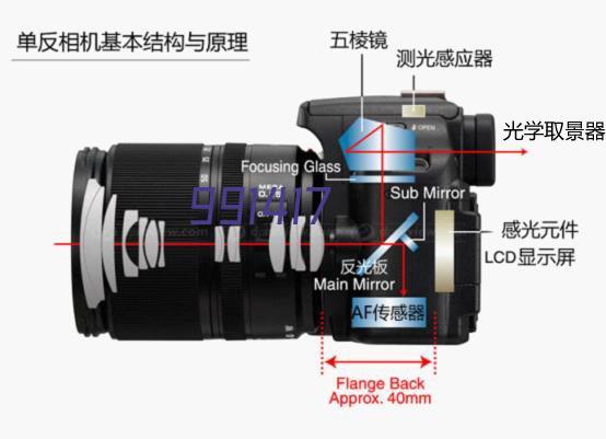 飞利浦（PHILIPS）S5082/61 5000系列剃须刀 干湿两用电动剃须刀